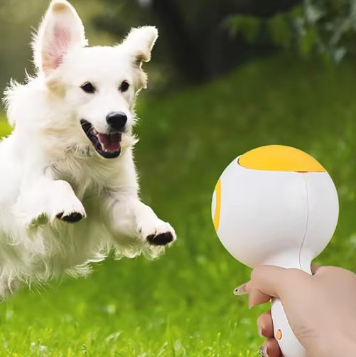 Pistola lanzador de alimentos para mascotas