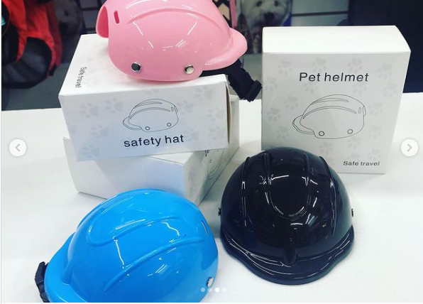 Casco protector para mascotas