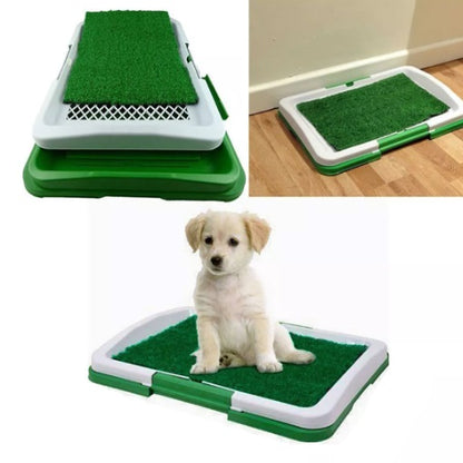 Baño de entrenamiento para perros