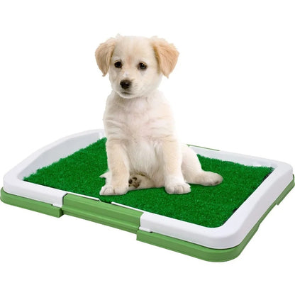 Baño de entrenamiento para perros
