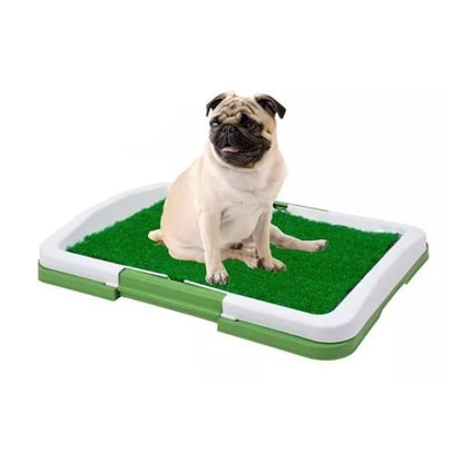 Baño de entrenamiento para perros