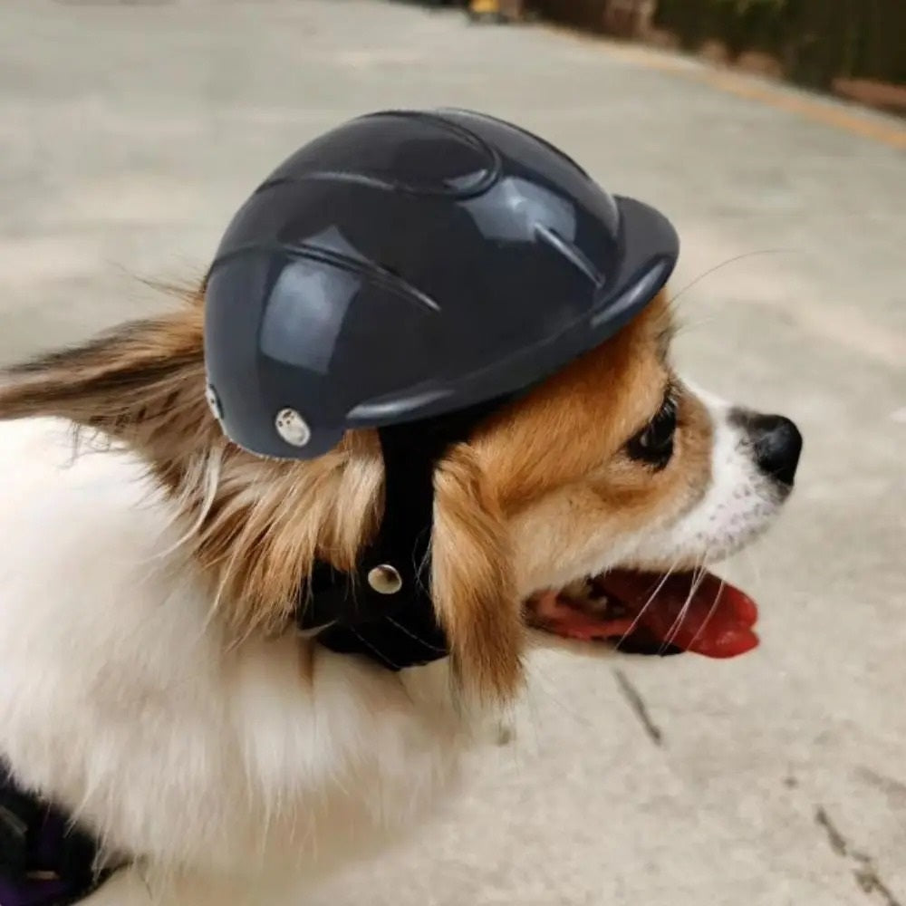 Casco protector para mascotas