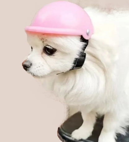 Casco protector para mascotas