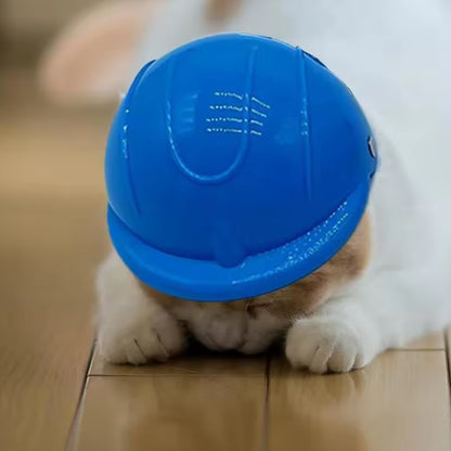 Casco protector para mascotas