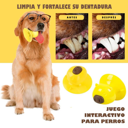 Juguete dental y distractor para perros
