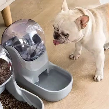 Dispensador de Agua para mascota.