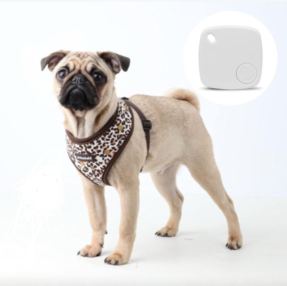 Localizador GPS tipo Airtag