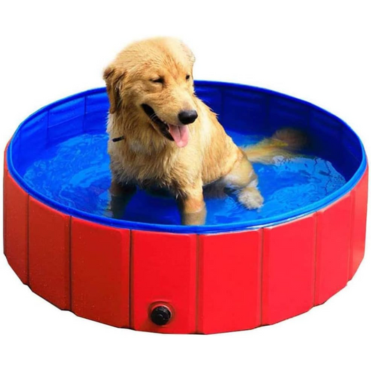 Piscina para mascotas