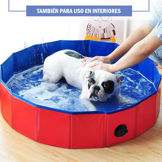 Piscina para mascotas