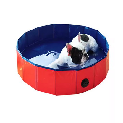 Piscina para mascotas