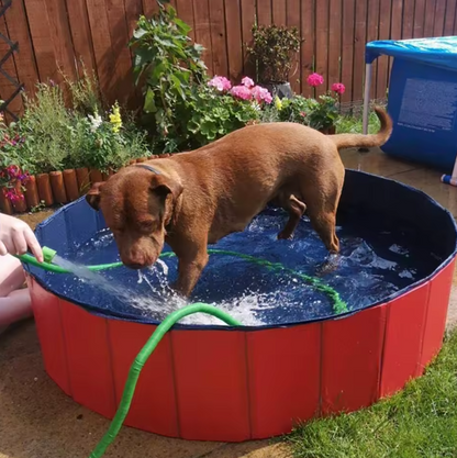 Piscina para mascotas